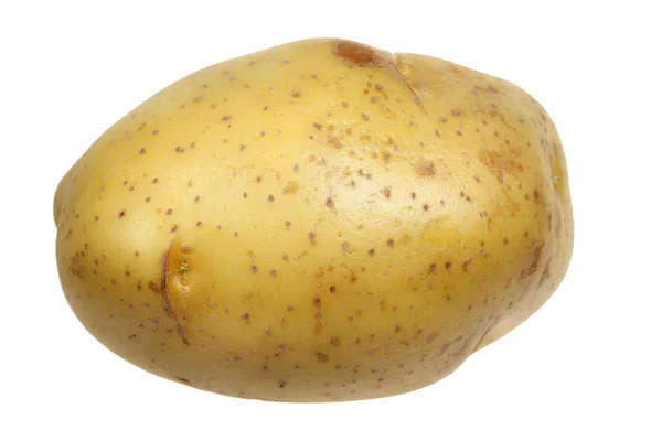 Potatis är det isolerade — Stockfoto
