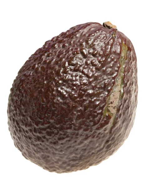 Avocado fruit op een witte achtergrond — Stockfoto