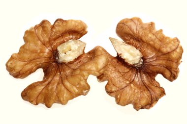 Ceviz izole