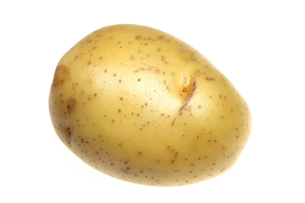 Potatis är det isolerade — Stockfoto