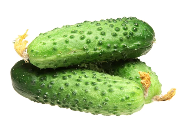 Cucumbers on a white background — Stock Photo, Image