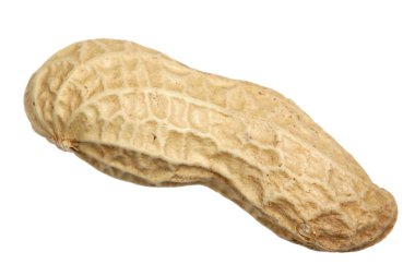 beyaz zemin üzerine fıstık