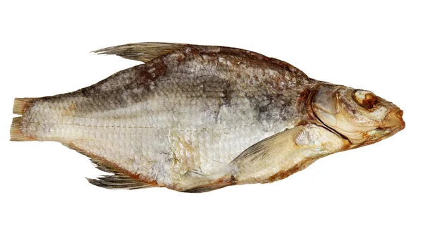 Сушеная рыба баран на белом фоне — стоковое фото
