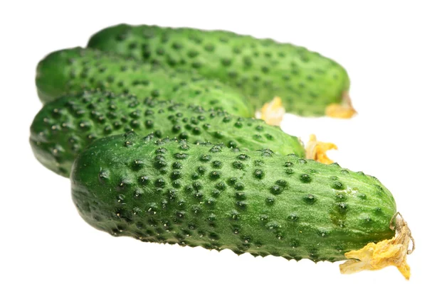 Komkommers op een witte achtergrond — Stockfoto
