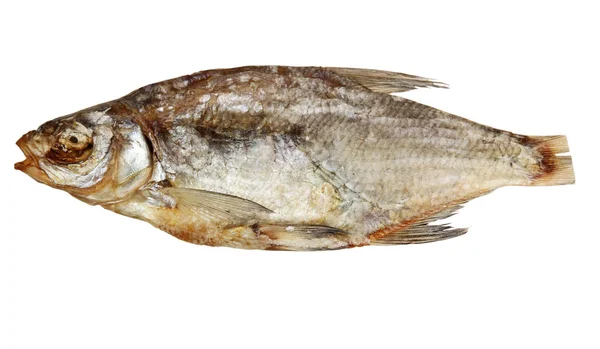 Sušené ryby ram na bílém pozadí — Stock fotografie