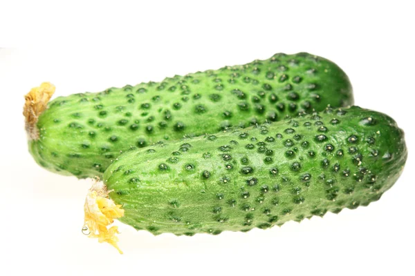 Beyaz arkaplanda salatalıklar — Stok fotoğraf