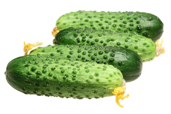 Beyaz arkaplanda salatalıklar — Stok fotoğraf