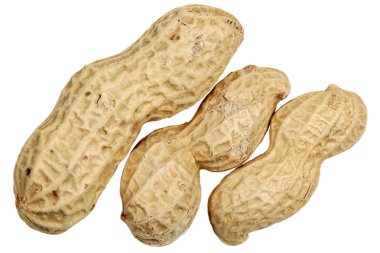 beyaz zemin üzerine fıstık