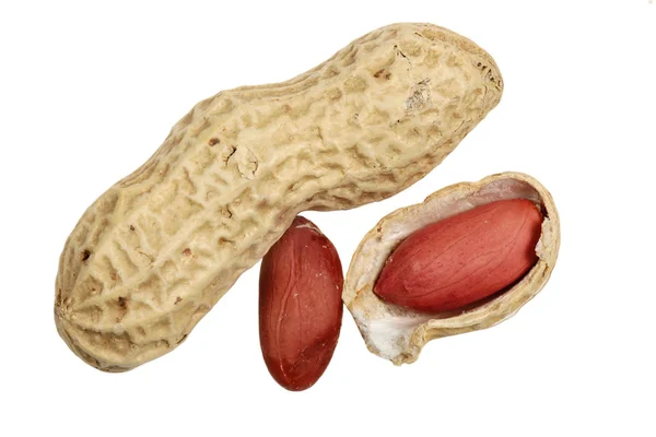 Erdnuss auf weißem Hintergrund — Stockfoto