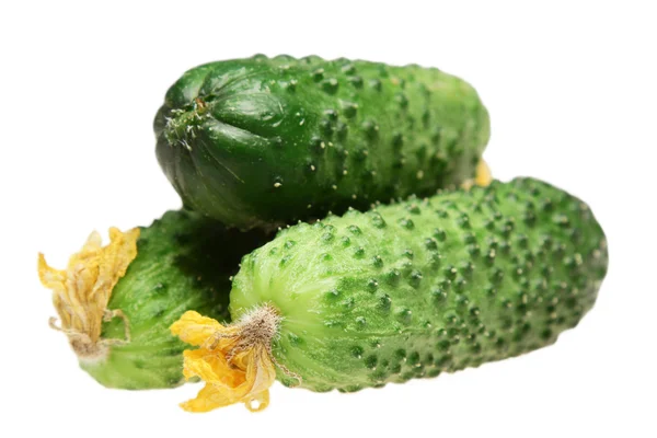 Cucumbers on a white background — Stock Photo, Image