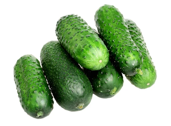 Green cucumbers on a white background — Stock Photo, Image