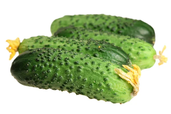 Komkommers op een witte achtergrond — Stockfoto