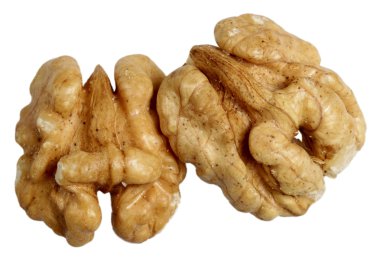 beyaz arkaplanda ceviz