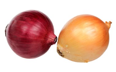 Beyaz arkaplanda soğanlar