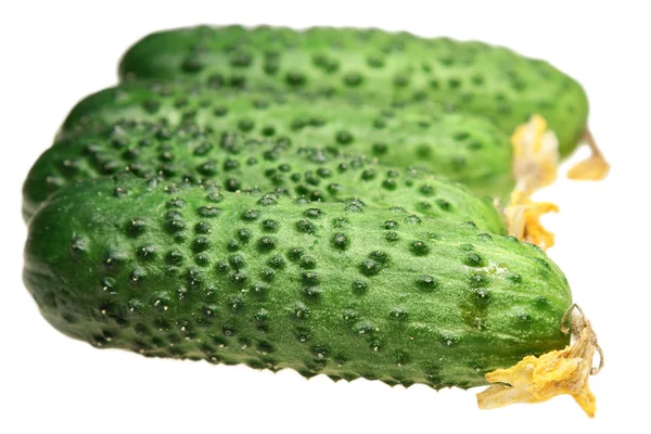 Cucumbers on a white background — Stock Photo, Image