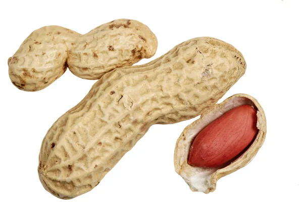 Peanut on a white background — Stock Photo, Image