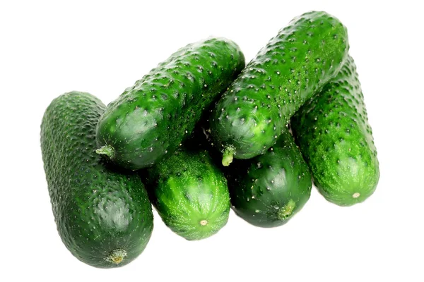 Green cucumbers on a white background — Stock Photo, Image