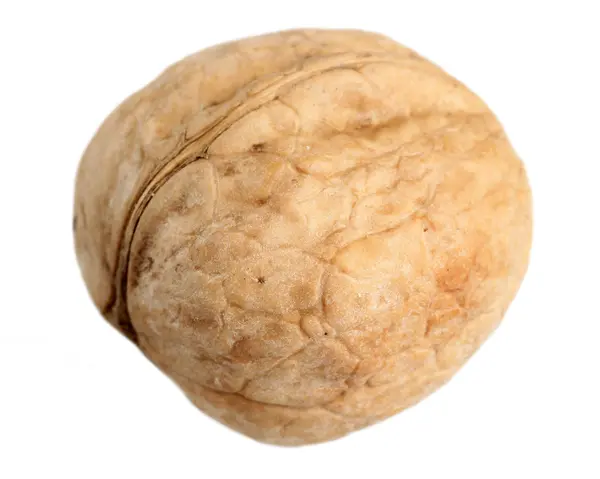 Walnut on a white background — Stock Photo, Image