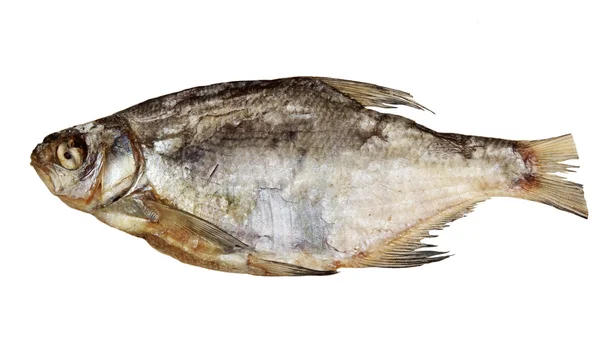 말린된 물고기는 흰색 바탕에 ram — 스톡 사진