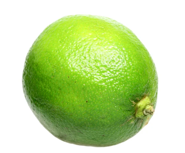 Lime on a white background — Stock Photo, Image