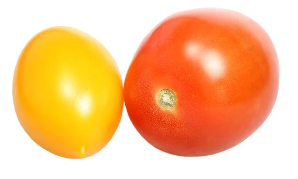 Tomate fraîche sur fond blanc — Photo