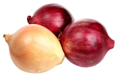 Beyaz arkaplanda soğanlar