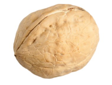 beyaz arkaplanda ceviz