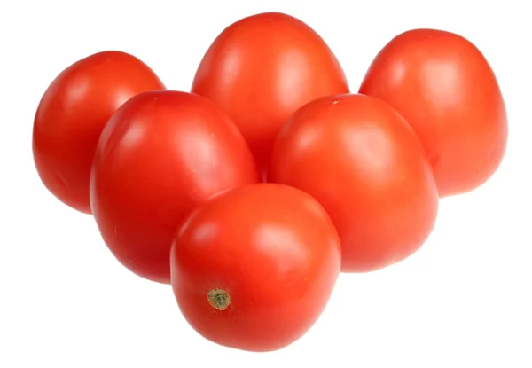 Tomaten auf weißem Hintergrund — Stockfoto