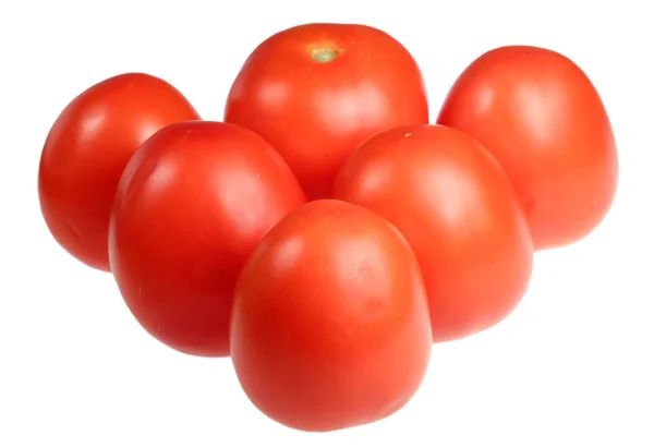 Tomaatit valkoisella pohjalla — kuvapankkivalokuva