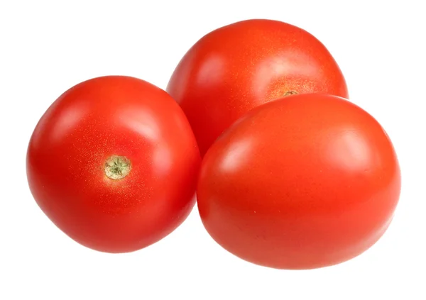 Tomaten auf weißem Hintergrund — Stockfoto