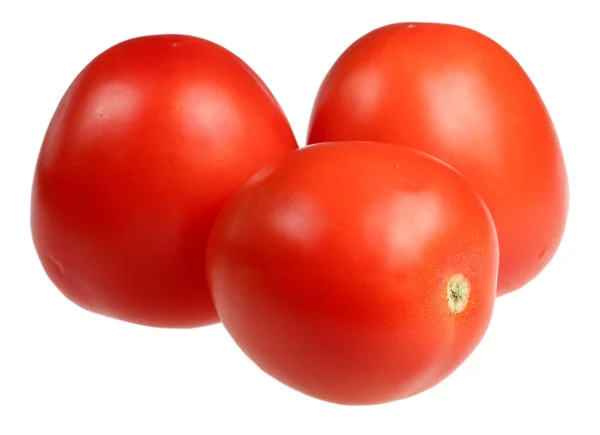 Tomaten auf weißem Hintergrund — Stockfoto