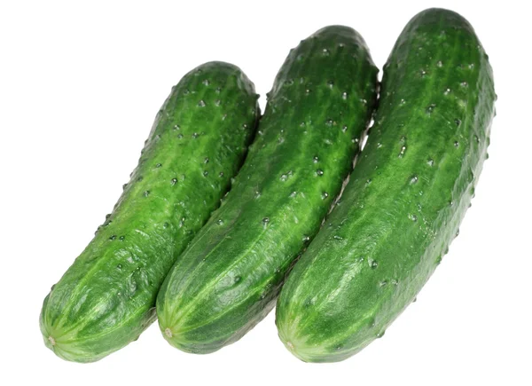 Cucumbers on a white background — Stock Photo, Image