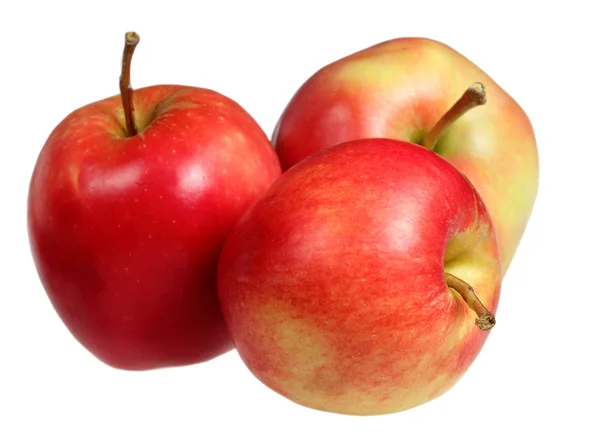 Apples on a white background Royalty Free Stock Photos