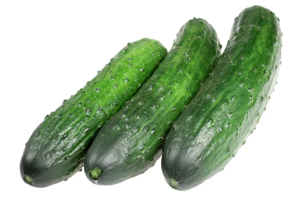 Cucumbers on a white background — Stock Photo, Image