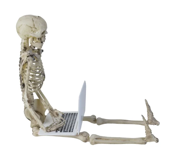 Skeleton Using Laptop — Stock Photo, Image