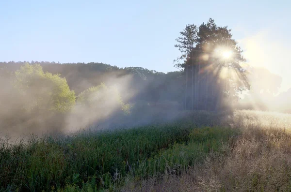 Feixes de sol através do nevoeiro — Fotografia de Stock