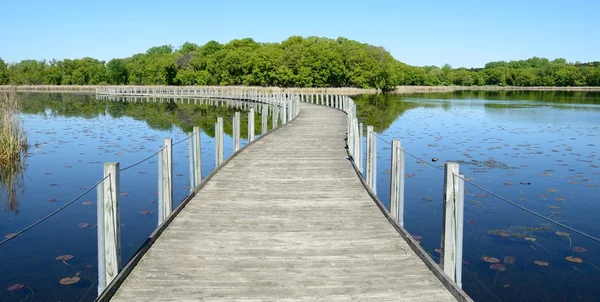 浮桥横跨一个池塘 — 图库照片