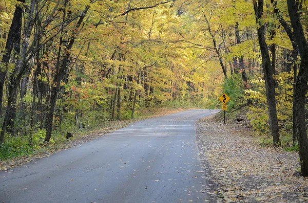 Colores otoñales a lo largo de un camino rural — Foto de Stock