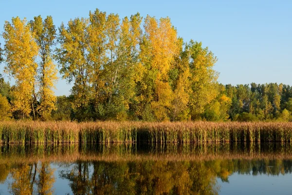 Couleurs d'automne réfléchies sur un lac — Photo