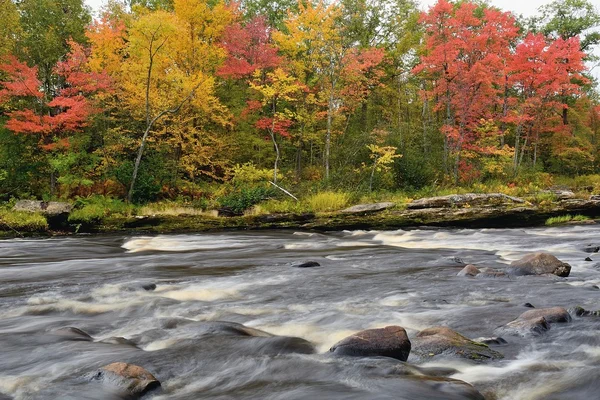 Colori d'autunno lungo il fiume Bollitore — Foto Stock