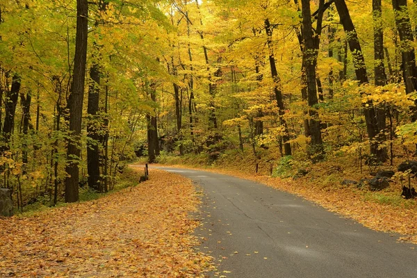 Herbstfarben entlang einer Landstraße — Stockfoto