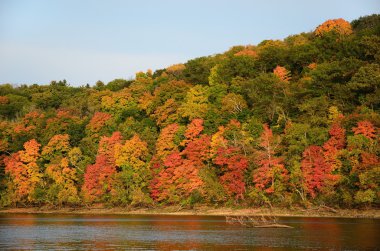 Fall Colors Along the St. Croix River clipart