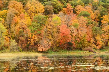 Fall Colors Reflected on a Lake clipart