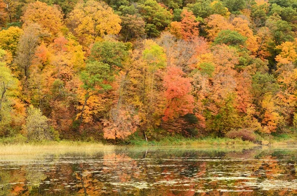 Осінні кольори відображаються на озері — стокове фото