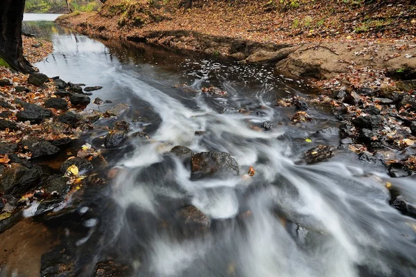 El agua fluye por los rápidos de un arroyo — Foto de Stock