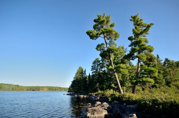 Natursköna vildmark sjö — Stockfoto