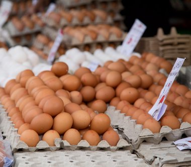 taze yumurta