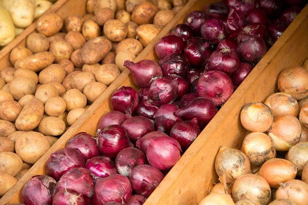 Cibule a brambory — Stock fotografie