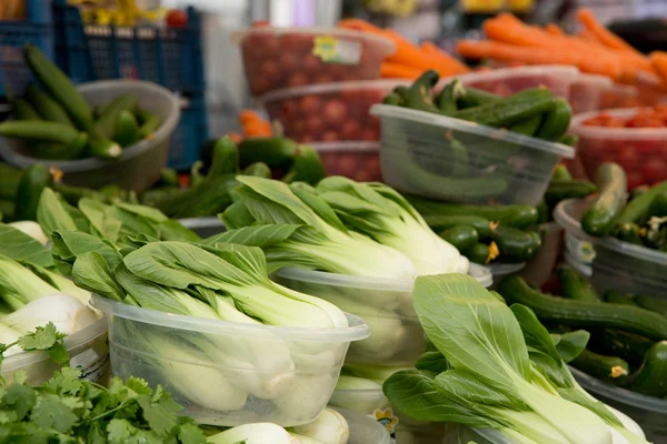 Pak choi. —  Fotos de Stock