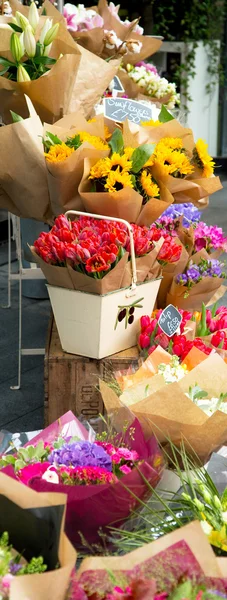 Florist — Stock Photo, Image